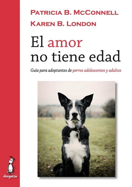 AMOR NO TIENE EDAD,EL (Book)