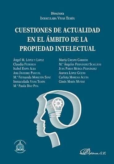 CUESTIONES DE ACTUALIDAD EN EL AMBITO DE LA PROPIEDAD INTELE (Paperback)