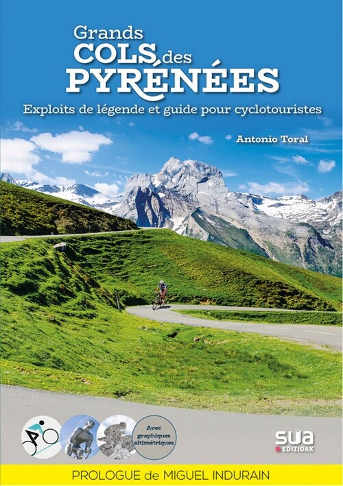 GRANDS COLS DES PYRENEES (Paperback)