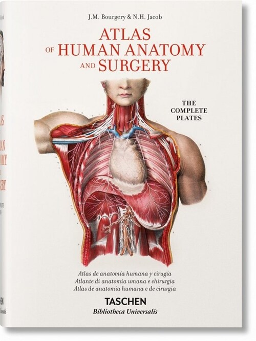 Bourgery. Atlas de Anatom? Humana Y Cirug? (Hardcover)