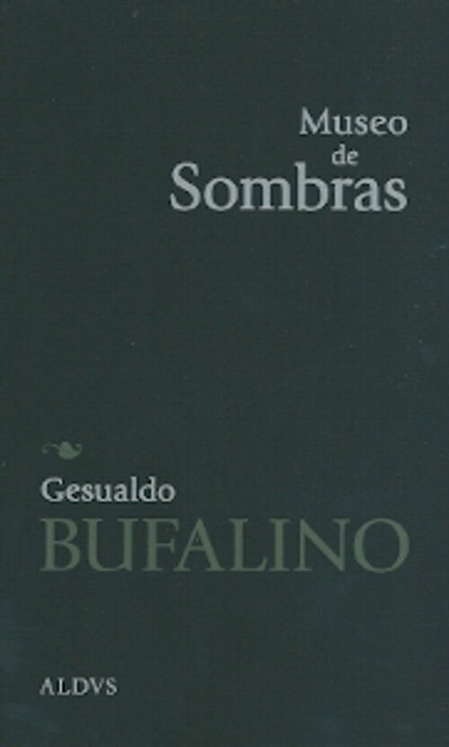MUSEO DE SOMBRAS (Paperback)