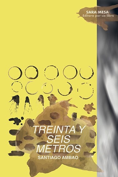 TREINTA Y SEIS METROS (Paperback)