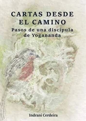 CARTAS DESDE EL CAMINO (Paperback)