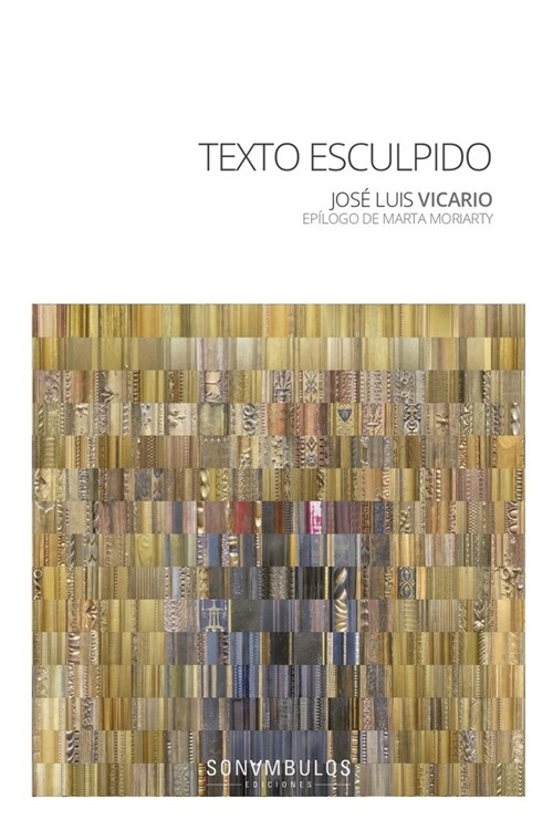 TEXTO ESCULPIDO (Paperback)