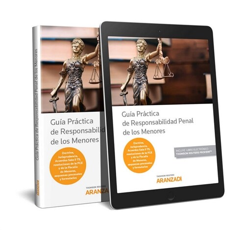 GUIA PRACTICA DE RESPONSABILIDAD PENAL DE LOS MENORES (Paperback)