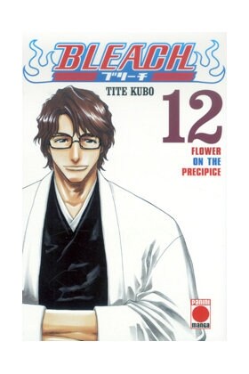 BLEACH 12 (Book)