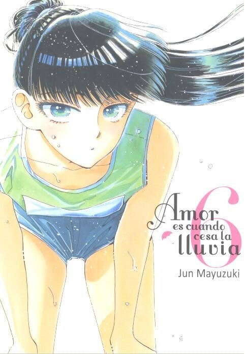 AMOR ES CUANDO CESA LA LLUVIA VOL 6 (Paperback)