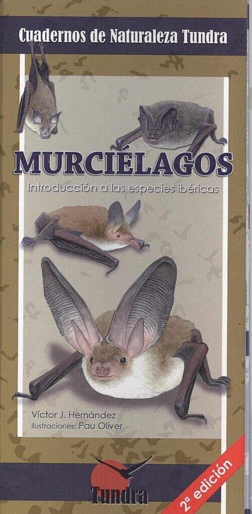 CUADERNOS NATURALEZA 7 MURCIELAGOS (Book)