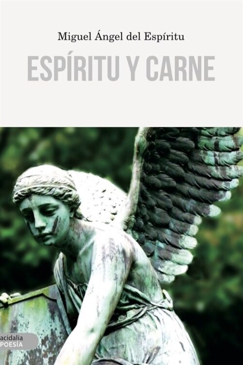 ESPIRITU Y CARNE (Paperback)