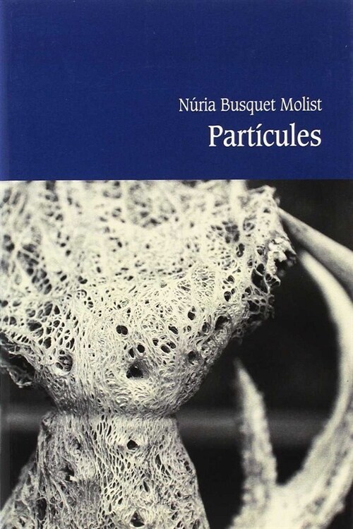 PARTICULES (Paperback)