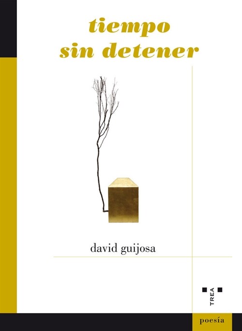 TIEMPO SIN DETENER (Book)