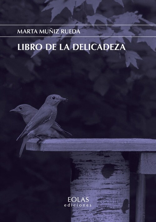 LIBRO DE DELICADEZA (Paperback)