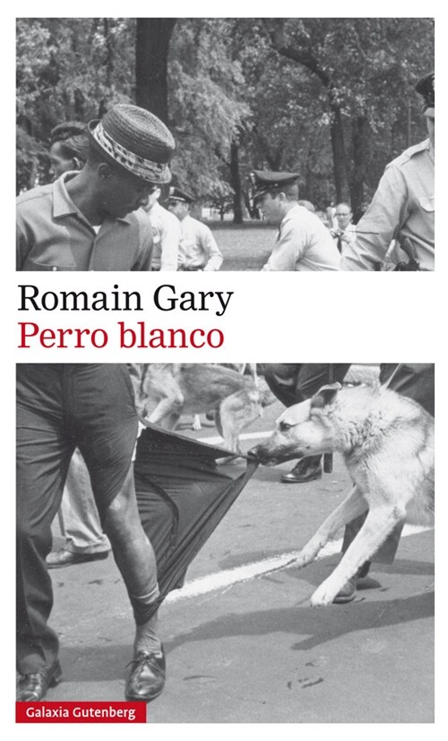 PERRO BLANCO (Book)