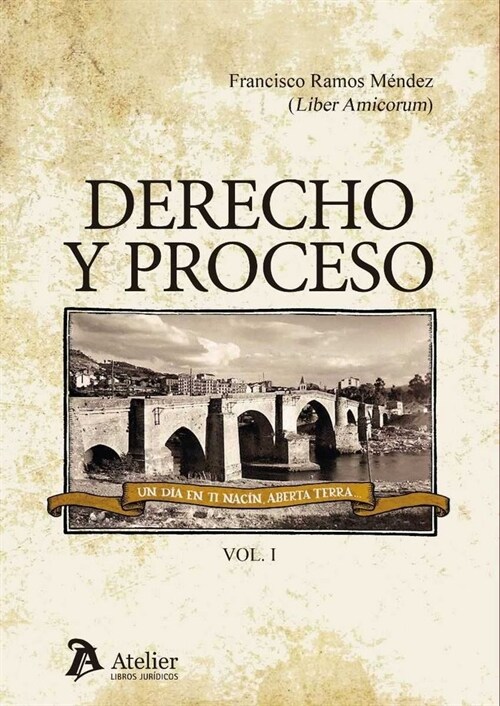 DERECHO Y PROCESO (Paperback)