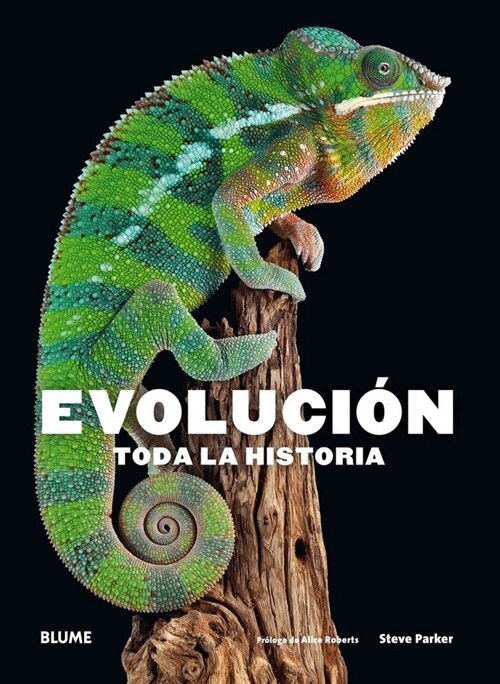 EVOLUCION. TODA LA HISTORIA (2018) (Paperback)