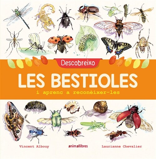 DESCOBREIXO LES BESTIOLES I APRENC A RECONEIXER-LES (Hardcover)