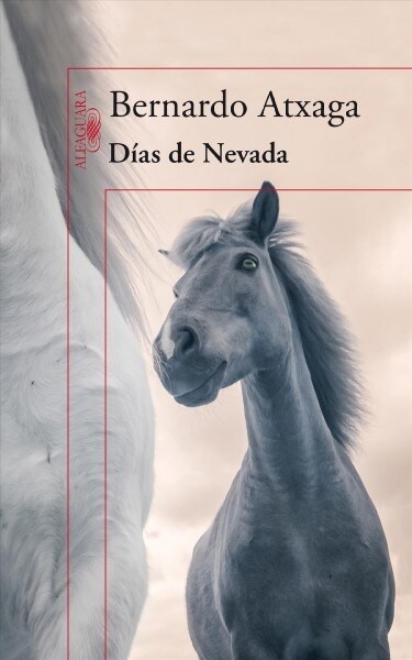 DIAS DE NEVADA (Book)
