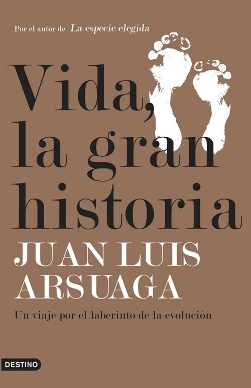 VIDA LA GRAN HISTORIA (Paperback)