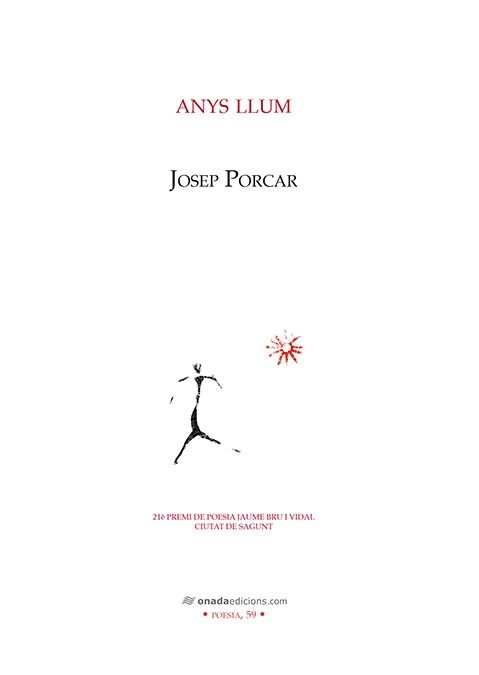 ANYS LLUM (Paperback)