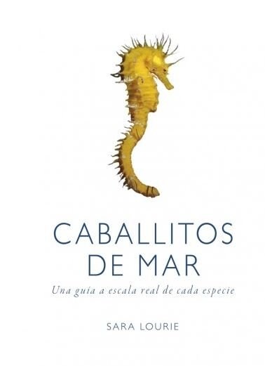 CABALLITOS DE MAR (Hardcover)