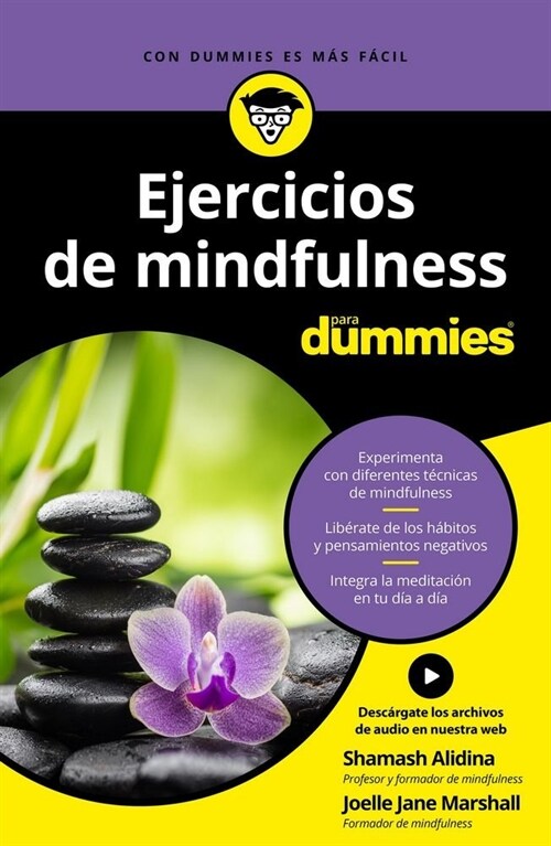 EJERCICIOS DE MINDFULLNESS PARA DUMMIES (Paperback)