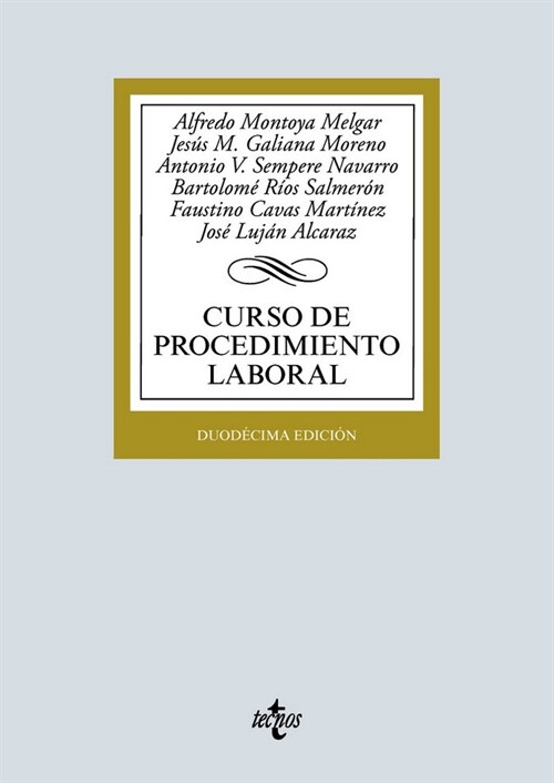 CURSO DE PROCEDIMIENTO LABORAL (Paperback)