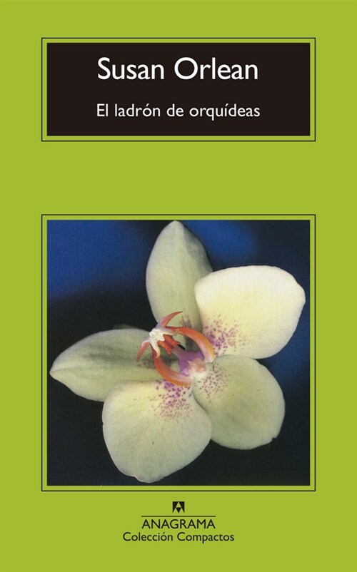 LADRON DE ORQUIDEAS,EL (Paperback)
