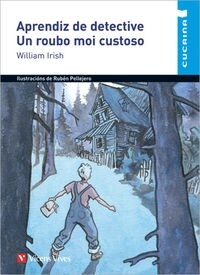 APRENDIZ DE DETECTIVE. UN ROUBO MOI CUSTOSO (CUCAI (Paperback)