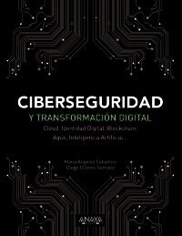 CIBERSEGURIDAD Y TRANSFORMACION DIGITAL (Paperback)