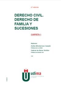 DERECHO CIVIL. DERECHO DE FAMILIA Y SUCESIONES (Book)