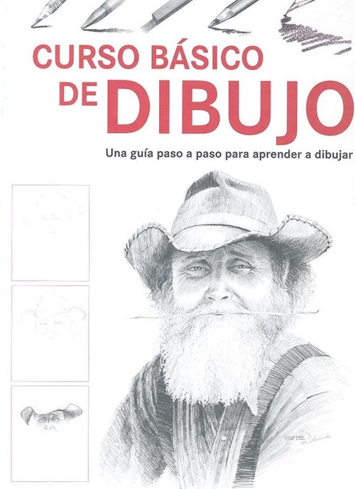 CURSO BASICO DE DIBUJO (Hardcover)