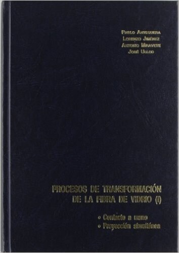 PROCESOS DE TRANSFORMACI½N DE LA FIBRA DE VIDRIO (Hardcover)