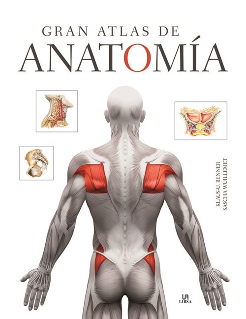 GRAN ATLAS DE ANATOMIA (Book)