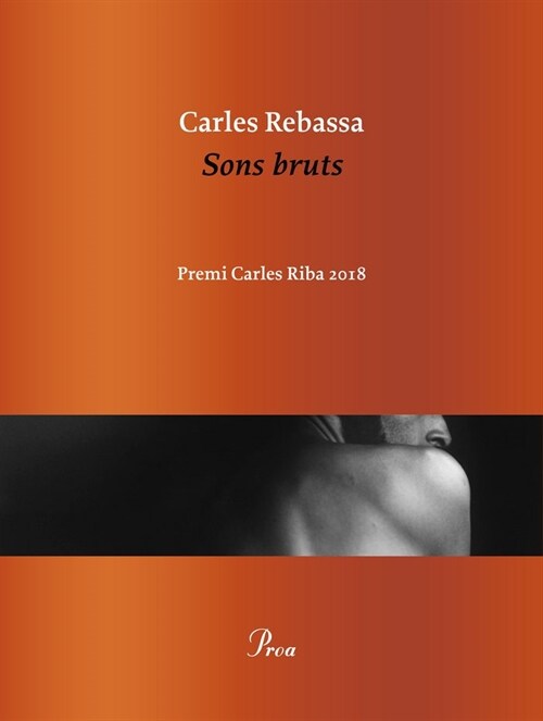 SONS BRUTS (Paperback)