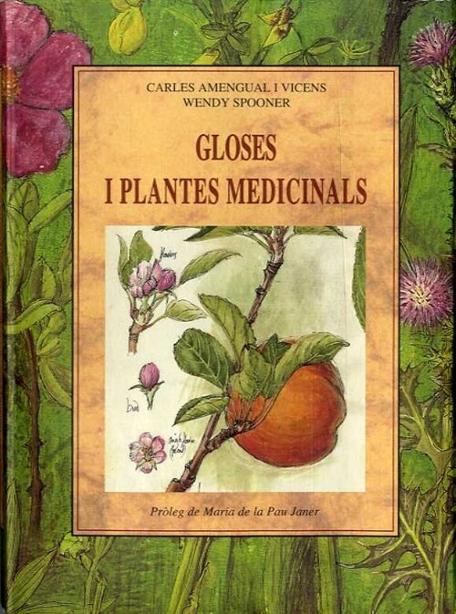 GLOSES Y PLANTES MEDICINALS (Paperback)