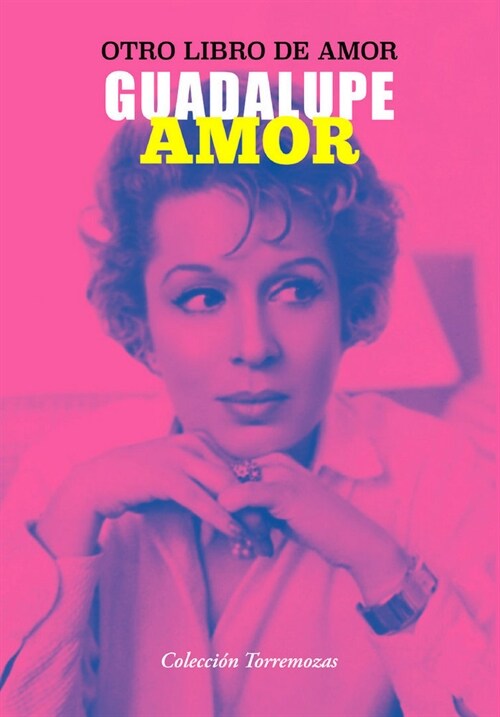 OTRO LIBRO DE AMOR (Paperback)