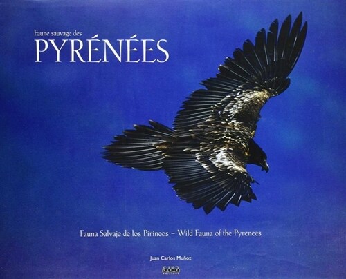 FAUNE SAUVAGE DES PYRENEES (Book)