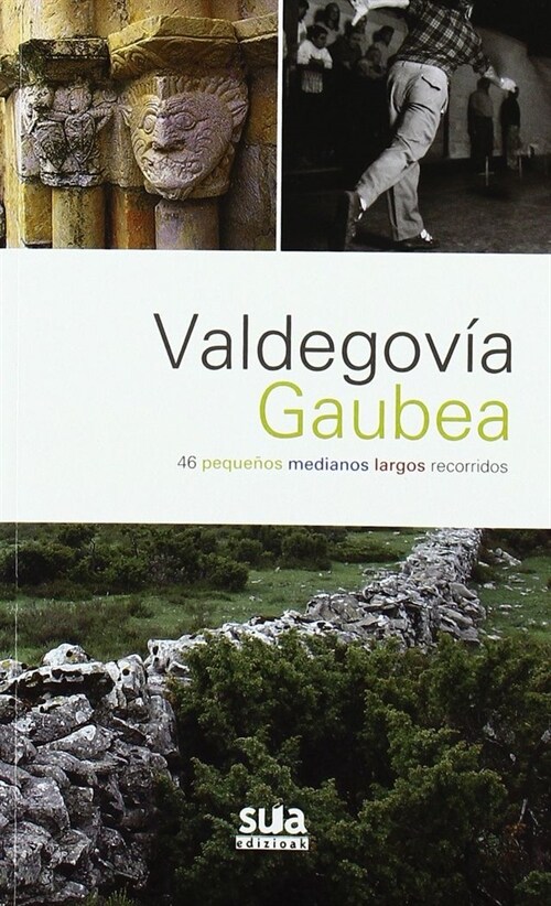 VALDEGOVIA GAUBEA (Paperback)