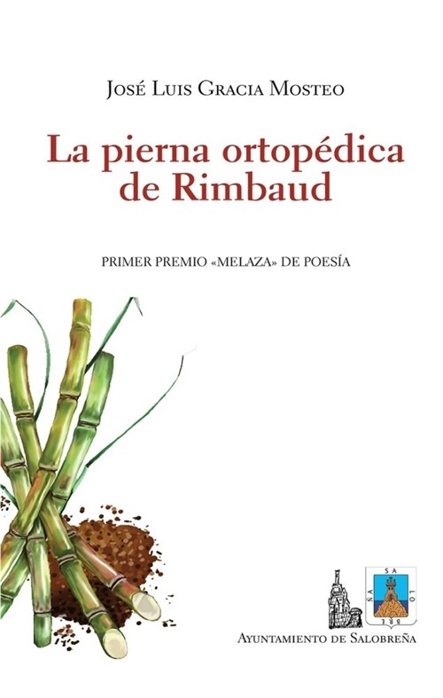 PIERNA ORTOPEDICA DE RIMBAUD,LA (Paperback)