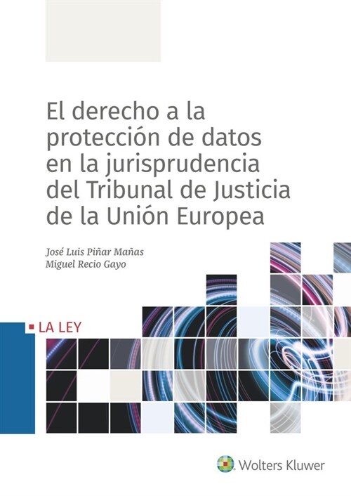 DERECHO A LA PROTECCION DATOS EN LA JURISPRUDENCIA,EL (Paperback)