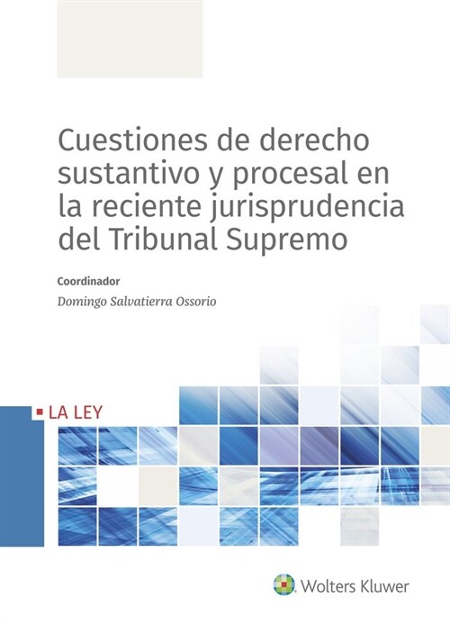 CUESTIONES DE DERECHO SUSTANTIVO Y PROCESAL EN LA RECIENTE J (Paperback)