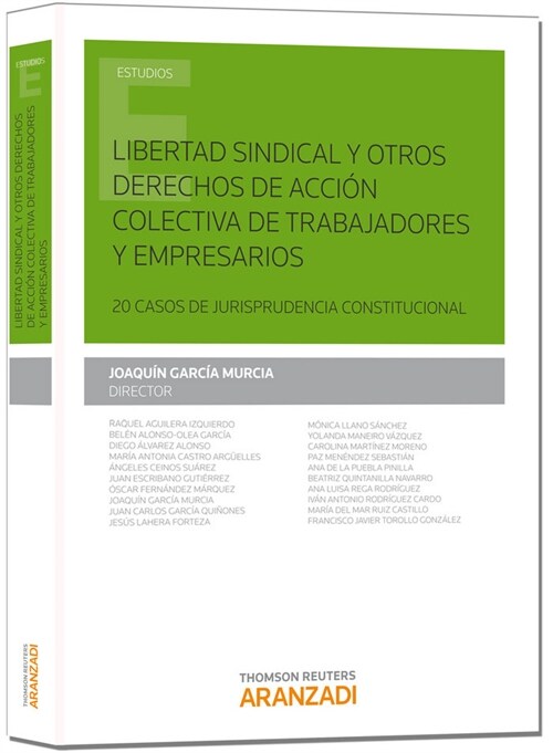 LIBERTAD SINDICAL Y OTROS DERECHOS ACCION COLECTIVA TRABAJA (Book)