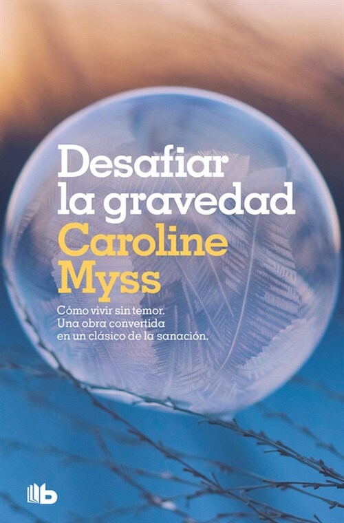 DESAFIAR LA GRAVEDAD (Paperback)