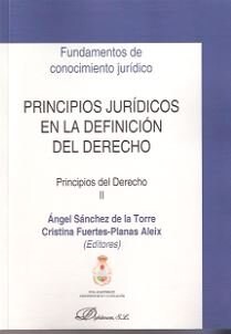 PRINCIPIOS JURIDICOS EN LA DEFINICION DEL DERECHO (Paperback)