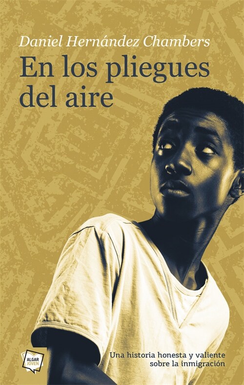 EN LOS PLIEGUES DEL AIRE (Paperback)