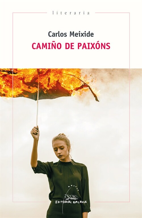 CAMINO DE PAIXONS (Paperback)