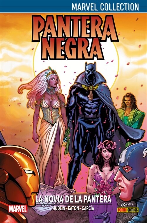 PANTERA NEGRA (Book)