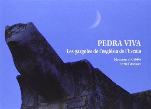 PEDRA VIVA (Book)