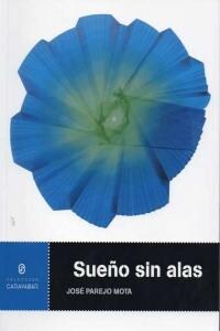 SUENO SIN ALAS (Book)