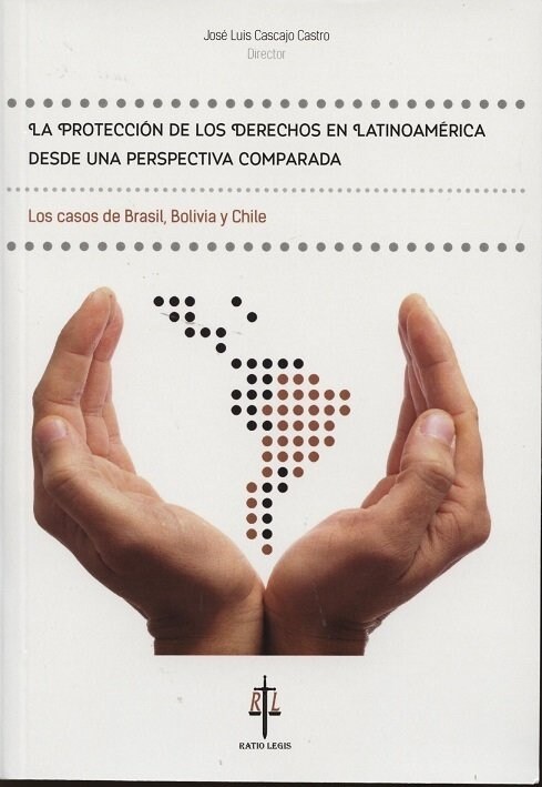 PROTECCION DE LOS DERECHOS EN LATINOAMERICA DESDE UNA PERSPE (Paperback)